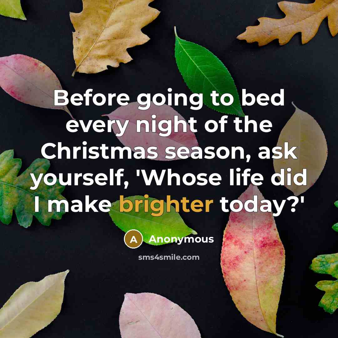 “Before going to bed every night of the Christmas season, ask yourself, 'Whose life did I make brighter today?'” quote by Anonymous