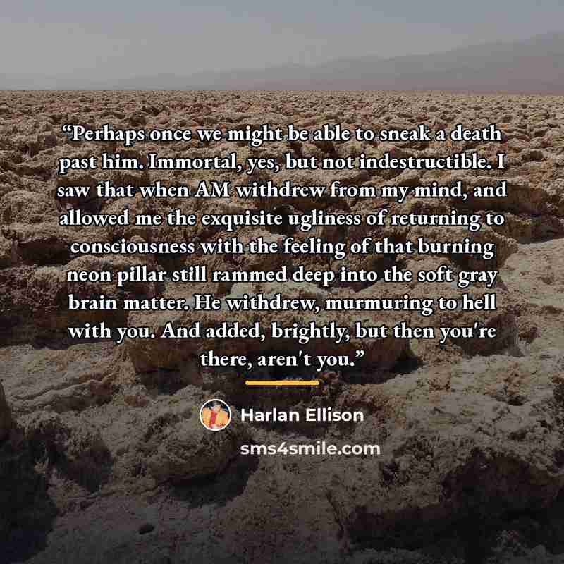 “Perhaps once we might be able to sneak a death past him. Immortal, yes, but not indestructible. I saw that when AM withdrew from my mind, and allowed me the exquisite ugliness of returning to consciousness with the feeling of that burning neon pillar still rammed deep into the soft gray brain…” quote by Harlan Ellison
