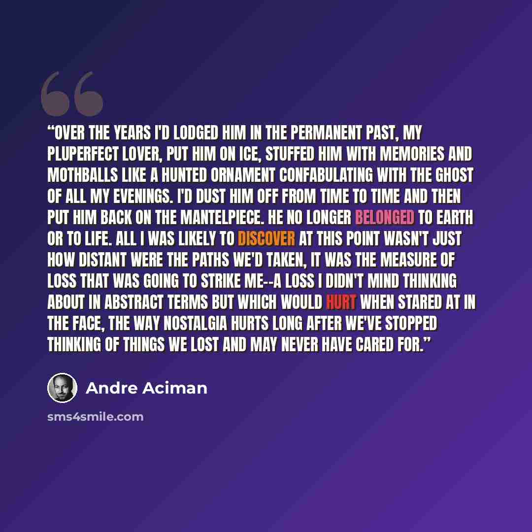 “Over the years I'd lodged him in the permanent past, my pluperfect lover, put him on ice, stuffed him with memories and mothballs like a hunted ornament confabulating with the ghost of all my evenings. I'd dust him off from time to time and then put him back on the mantelpiece. He no longer…” quote by André Aciman