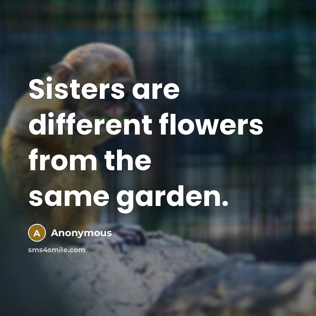 “Sisters are different flowers from the same garden.” quote by Anonymous