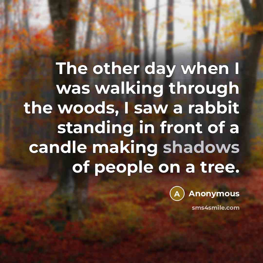 “The other day when I was walking through the woods, I saw a rabbit standing in front of a candle making shadows of people on a tree.” quote by Anonymous