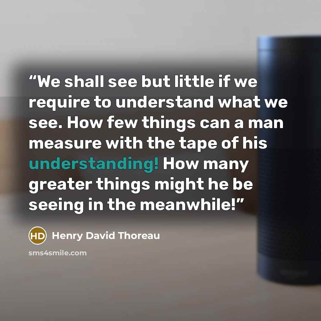 “We shall see but little if we require to understand what we see. How few things can a man measure with the tape of his understanding! How many greater things might he be seeing in the meanwhile!” quote by Henry David Thoreau
