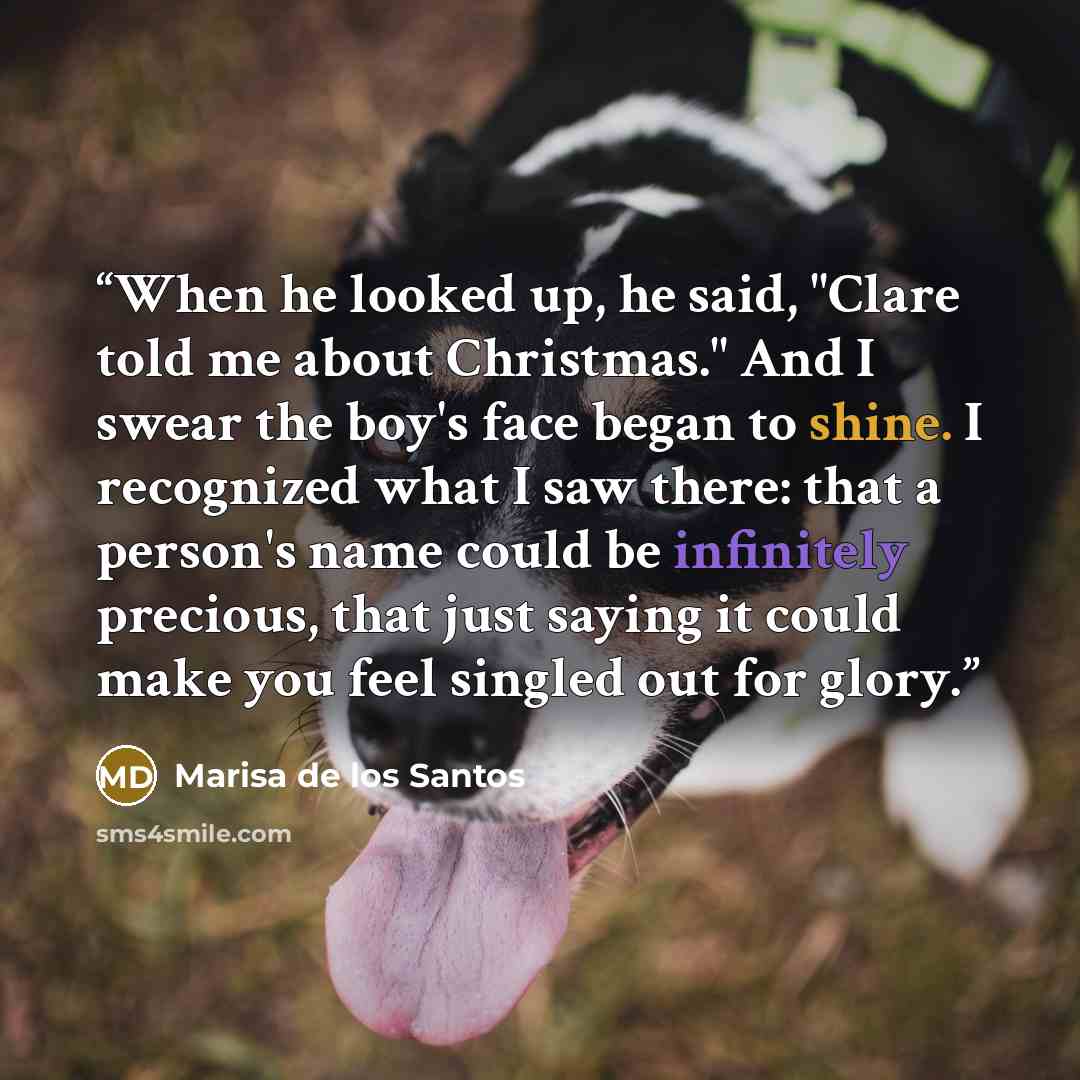 “When he looked up, he said, "Clare told me about Christmas." And I swear the boy's face began to shine. I recognized what I saw there: that a person's name could be infinitely precious, that just saying it could make you feel singled out for glory.” quote by Marisa de los Santos