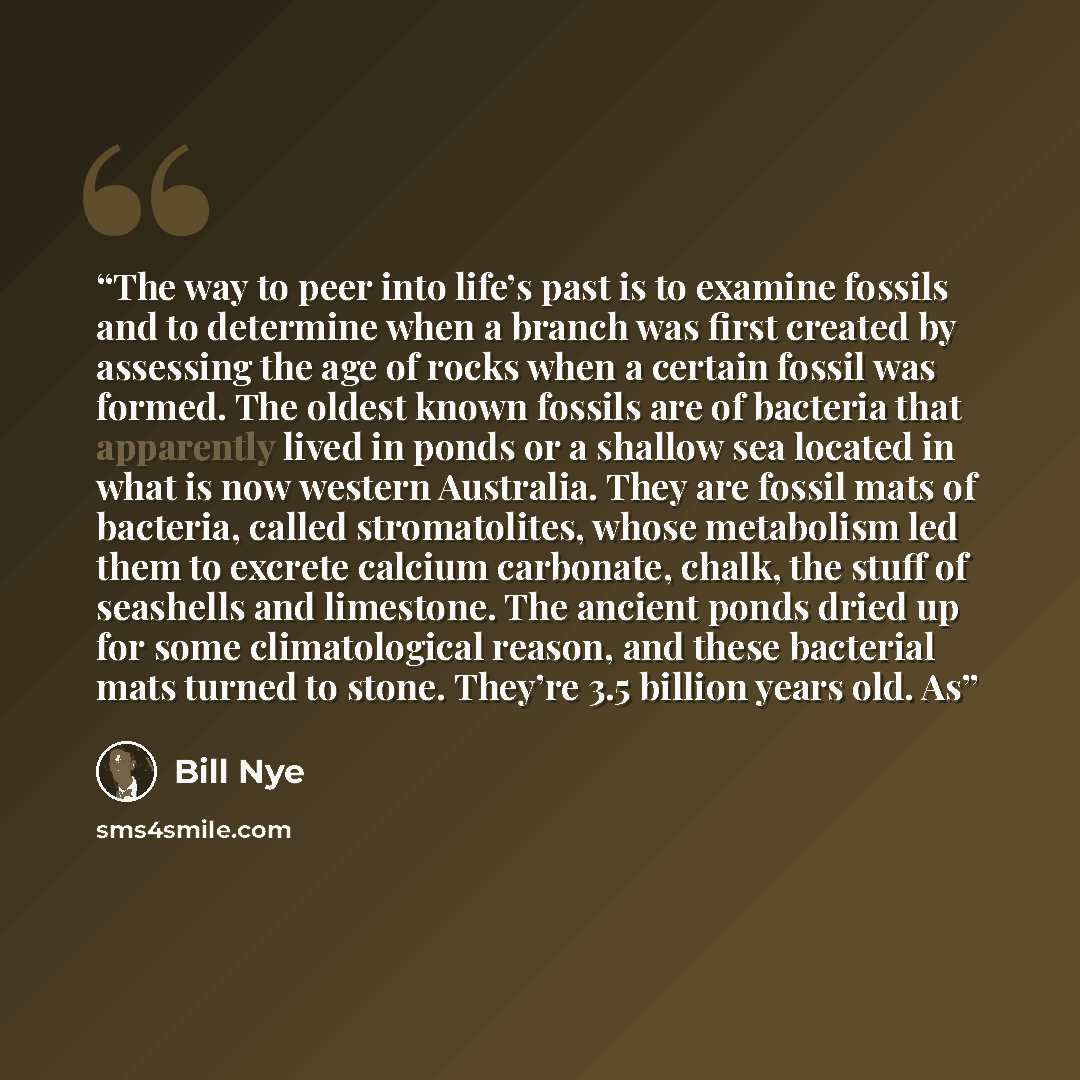 “The way to peer into life’s past is to examine fossils and to determine when a branch was first created by assessing the age of rocks when a certain fossil was formed. The oldest known fossils are of bacteria that apparently lived in ponds or a shallow sea located in what is now western Australia…” quote by Bill Nye
