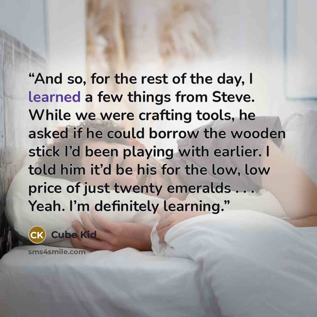 “And so, for the rest of the day, I learned a few things from Steve. While we were crafting tools, he asked if he could borrow the wooden stick I’d been playing with earlier. I told him it’d be his for the low, low price of just twenty emeralds . . . Yeah. I’m definitely learning.” quote by Cube Kid