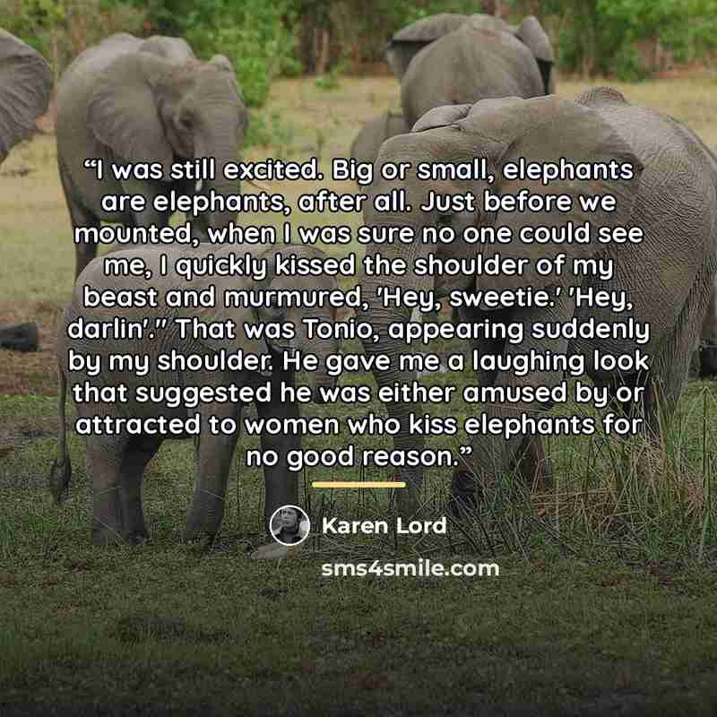 “I was still excited. Big or small, elephants are elephants, after all. Just before we mounted, when I was sure no one could see me, I quickly kissed the shoulder of my beast and murmured, 'Hey, sweetie.' 'Hey, darlin'." That was Tonio, appearing suddenly by my shoulder. He gave me a laughing look…” quote by Karen Lord