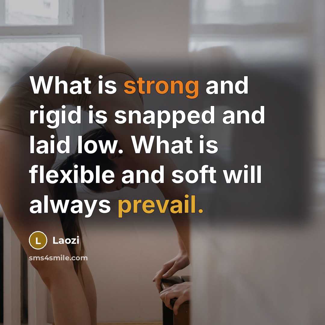 “What is strong and rigid is snapped and laid low. What is flexible and soft will always prevail.” quote by Laozi