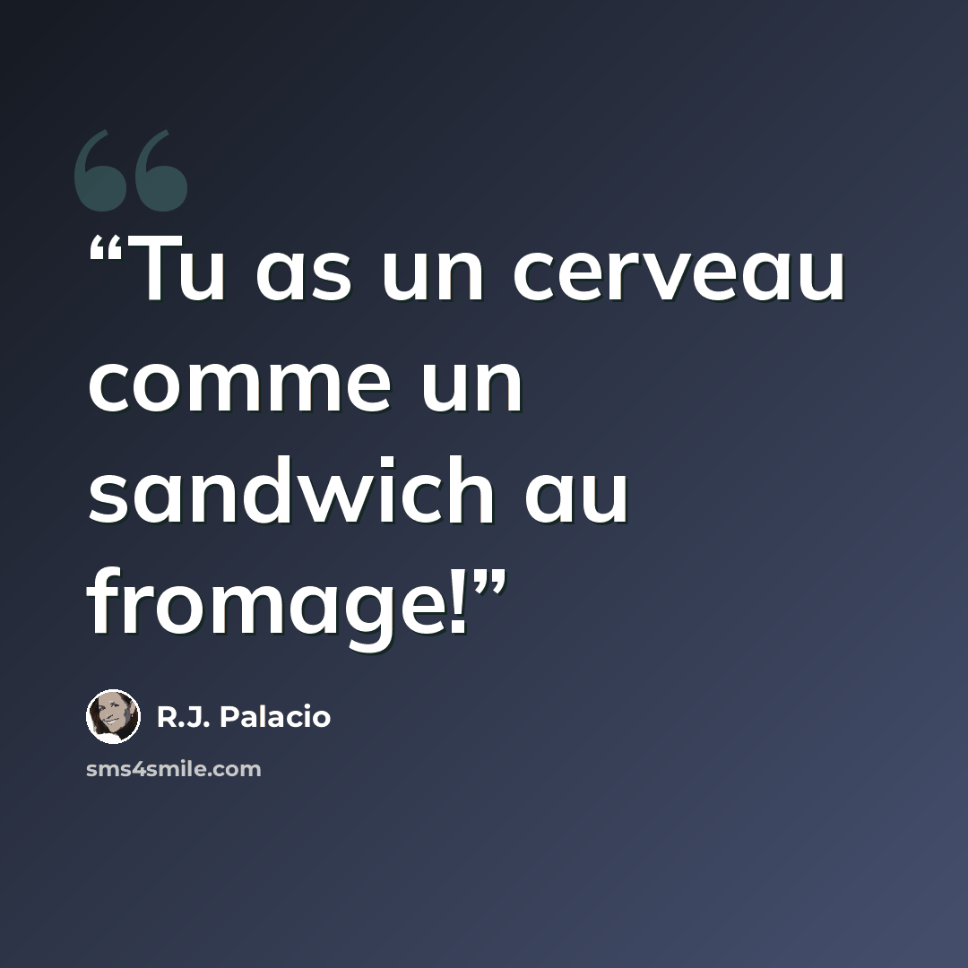 “Tu as un cerveau comme un sandwich au fromage!” quote by R.J. Palacio