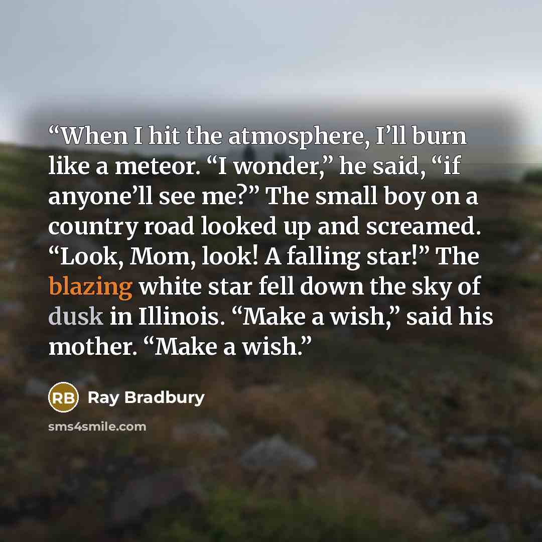 “When I hit the atmosphere, I’ll burn like a meteor. “I wonder,” he said, “if anyone’ll see me?” The small boy on a country road looked up and screamed. “Look, Mom, look! A falling star!” The blazing white star fell down the sky of dusk in Illinois. “Make a wish,” said his mother. “Make a wish.” quote by Ray Bradbury