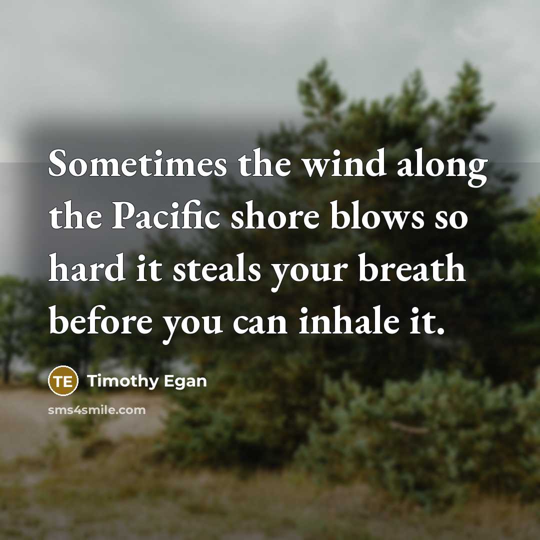 “Sometimes the wind along the Pacific shore blows so hard it steals your breath before you can inhale it.” quote by Timothy Egan