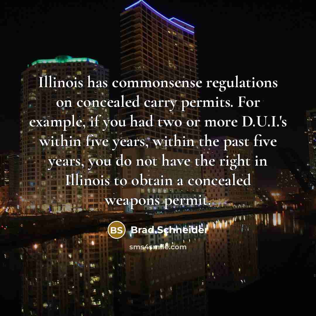 “Illinois has commonsense regulations on concealed carry permits. For example, if you had two or more D.U.I.'s within five years, within the past five years, you do not have the right in Illinois to obtain a concealed weapons permit.” quote by Brad Schneider