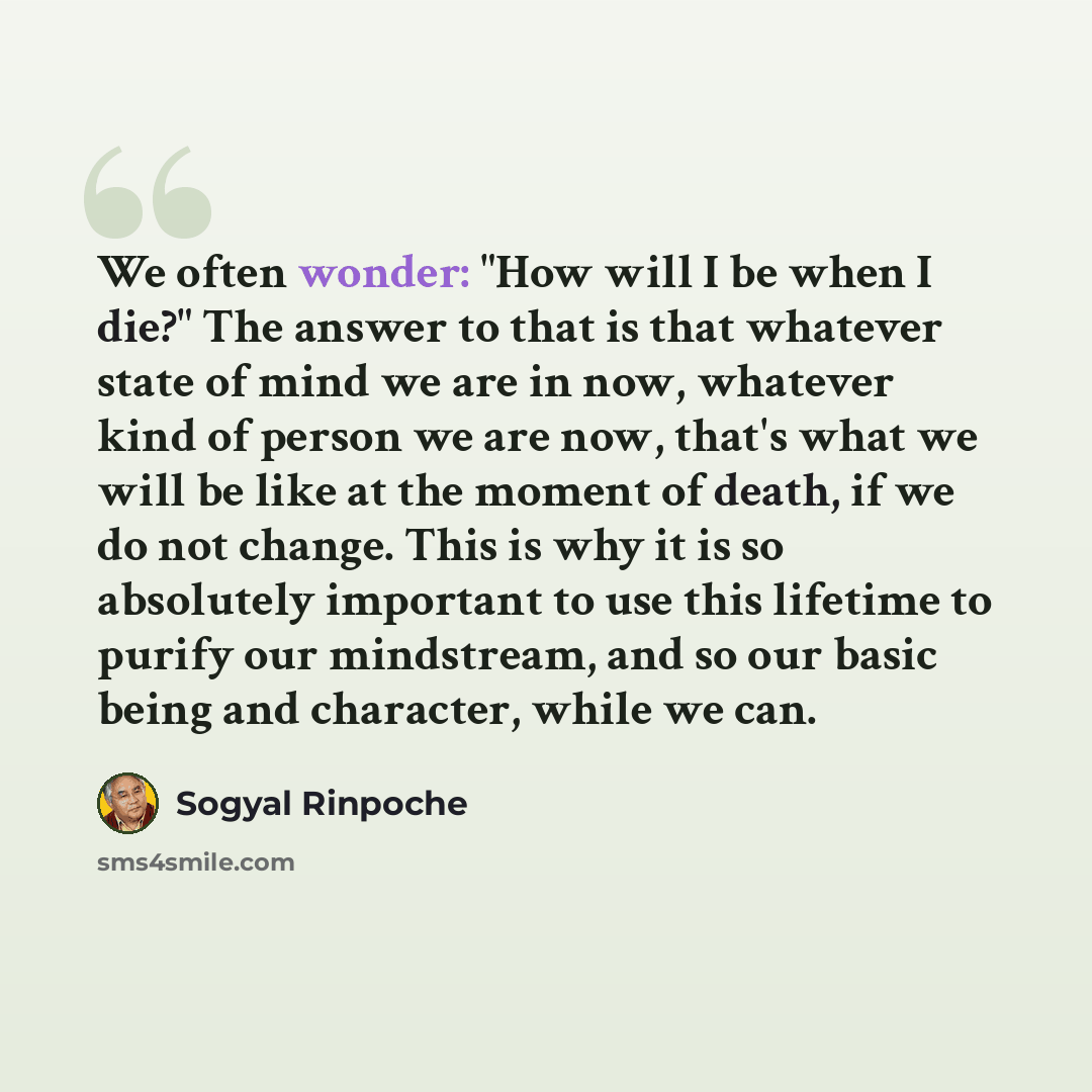 “We often wonder: "How will I be when I die?" The answer to that is that whatever state of mind we are in now, whatever kind of person we are now, that's what we will be like at the moment of death, if we do not change. This is why it is so absolutely important to use this lifetime to purify our…” quote by Sogyal Rinpoche