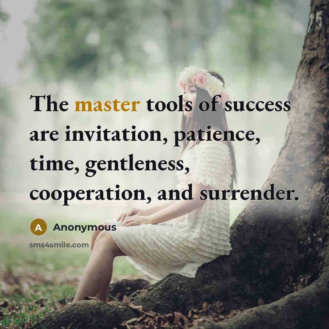 “The master tools of success are invitation, patience, time, gentleness, cooperation, and surrender.” quote by Anonymous