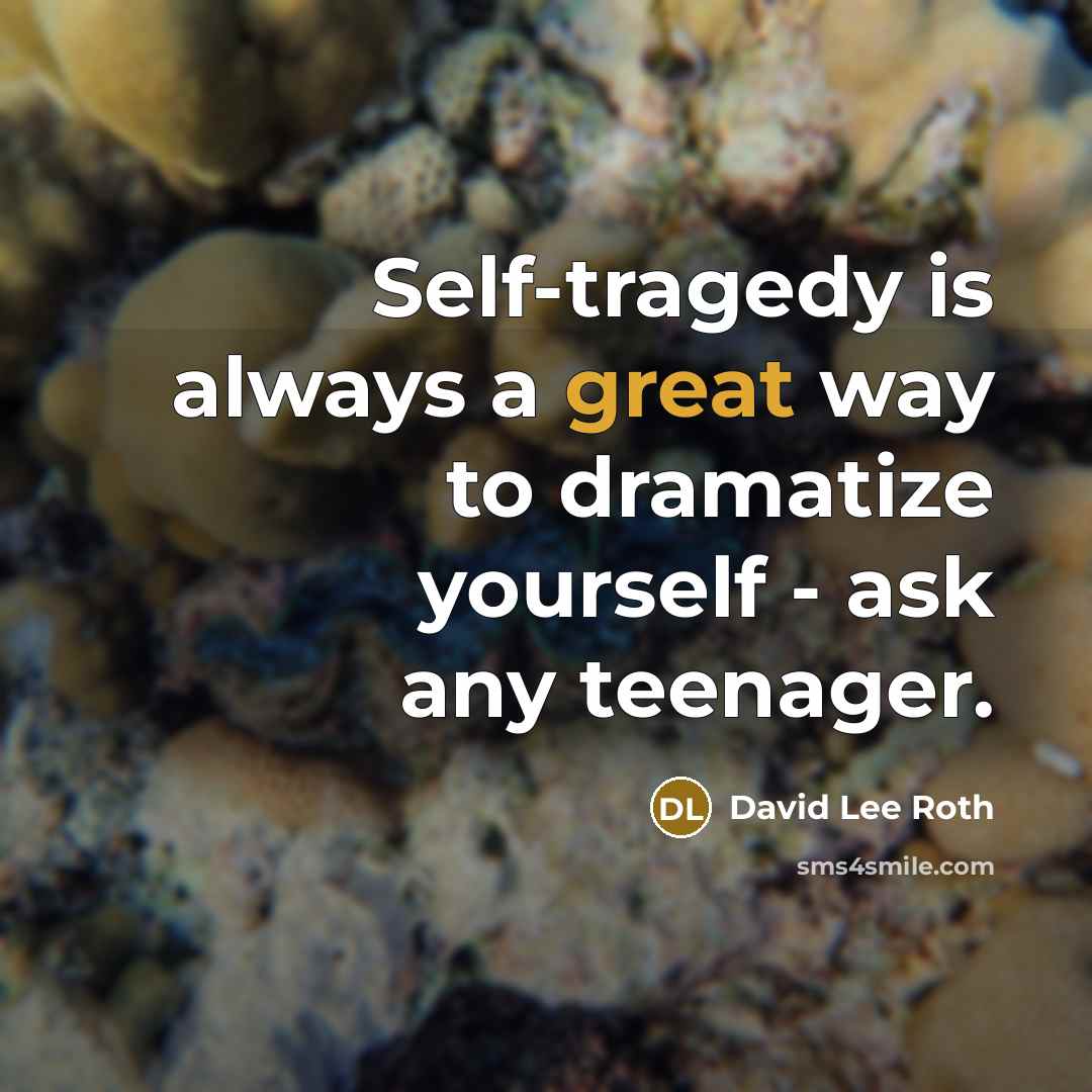 “Self-tragedy is always a great way to dramatize yourself - ask any teenager.” quote by David Lee Roth