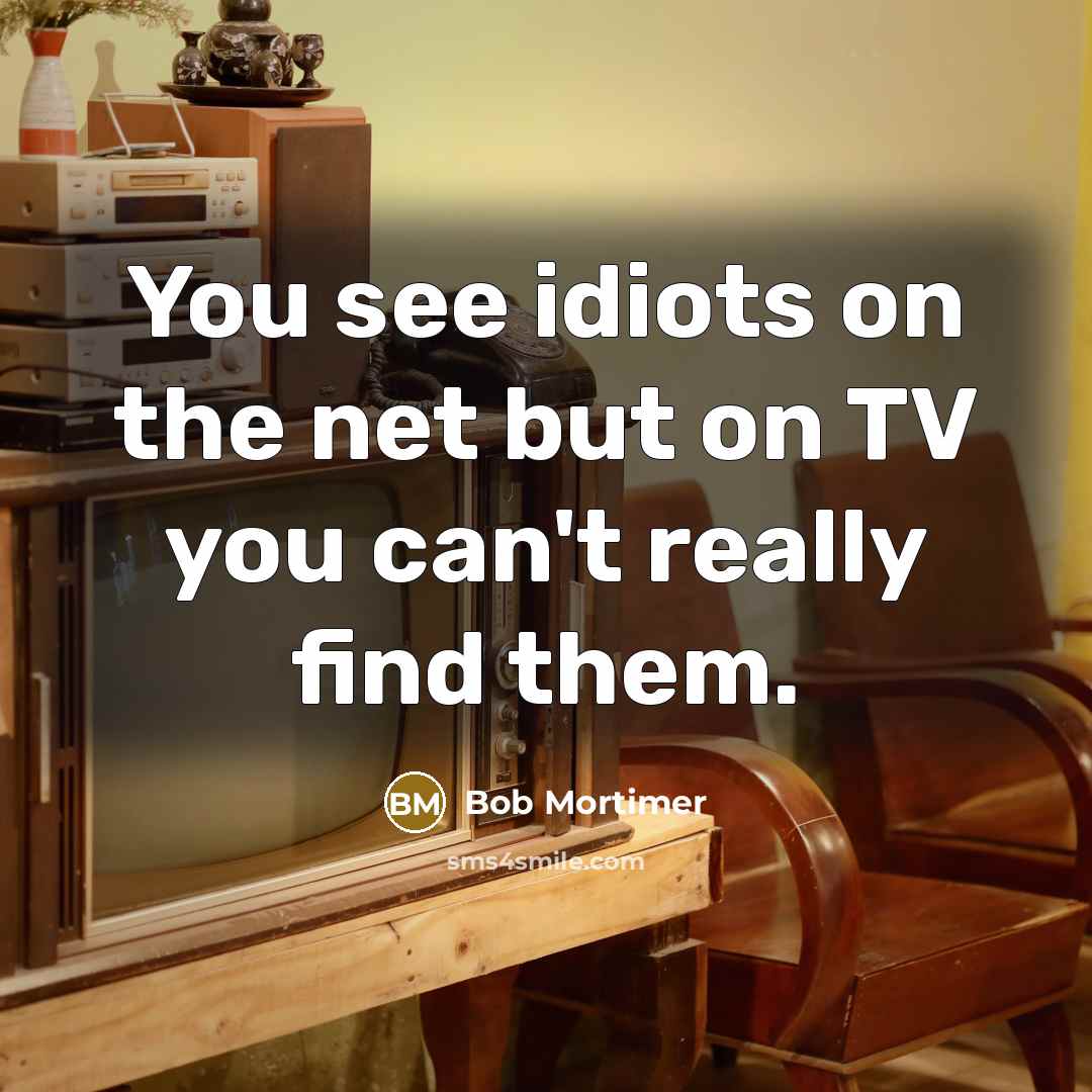 “You see idiots on the net but on TV you can't really find them.” quote by Bob Mortimer