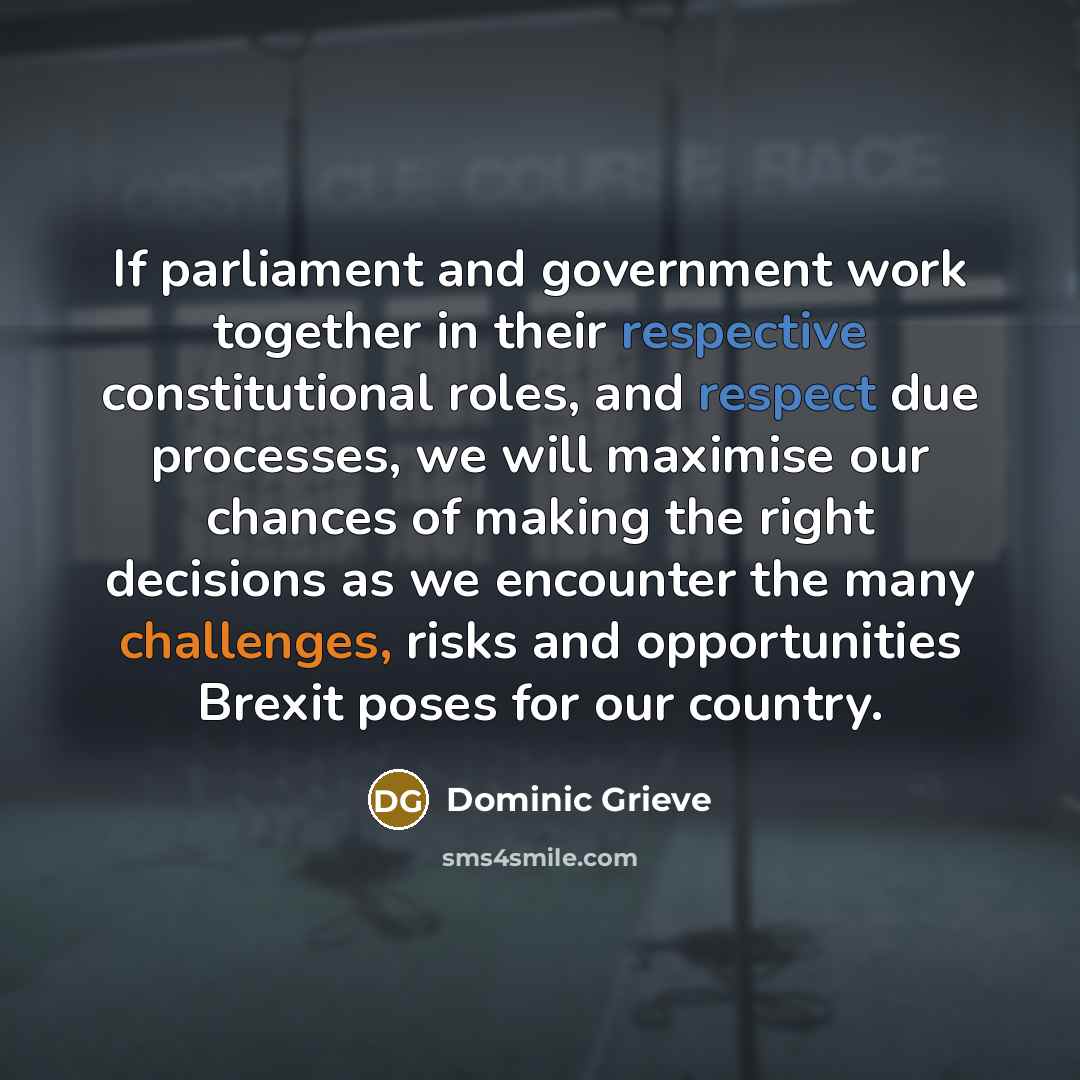 “If parliament and government work together in their respective constitutional roles, and respect due processes, we will maximise our chances of making the right decisions as we encounter the many challenges, risks and opportunities Brexit poses for our country.” quote by Dominic Grieve