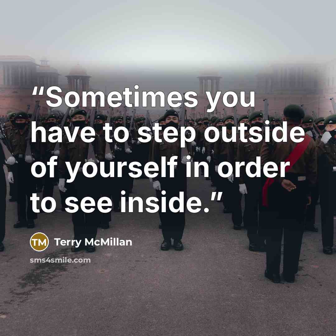 “Sometimes you have to step outside of yourself in order to see inside.” quote by Terry McMillan