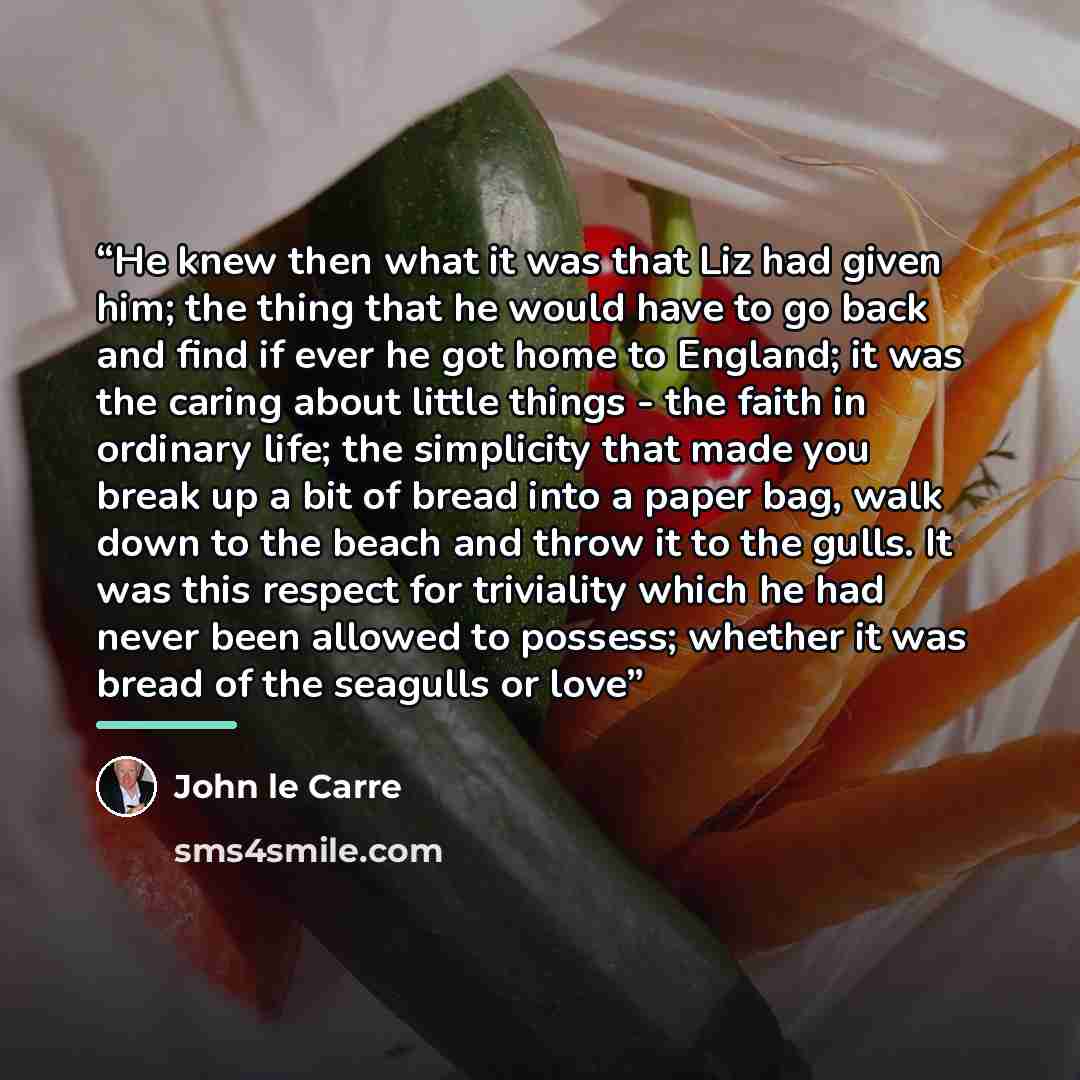 “He knew then what it was that Liz had given him; the thing that he would have to go back and find if ever he got home to England; it was the caring about little things - the faith in ordinary life; the simplicity that made you break up a bit of bread into a paper bag, walk down to the beach and…” quote by John le Carré
