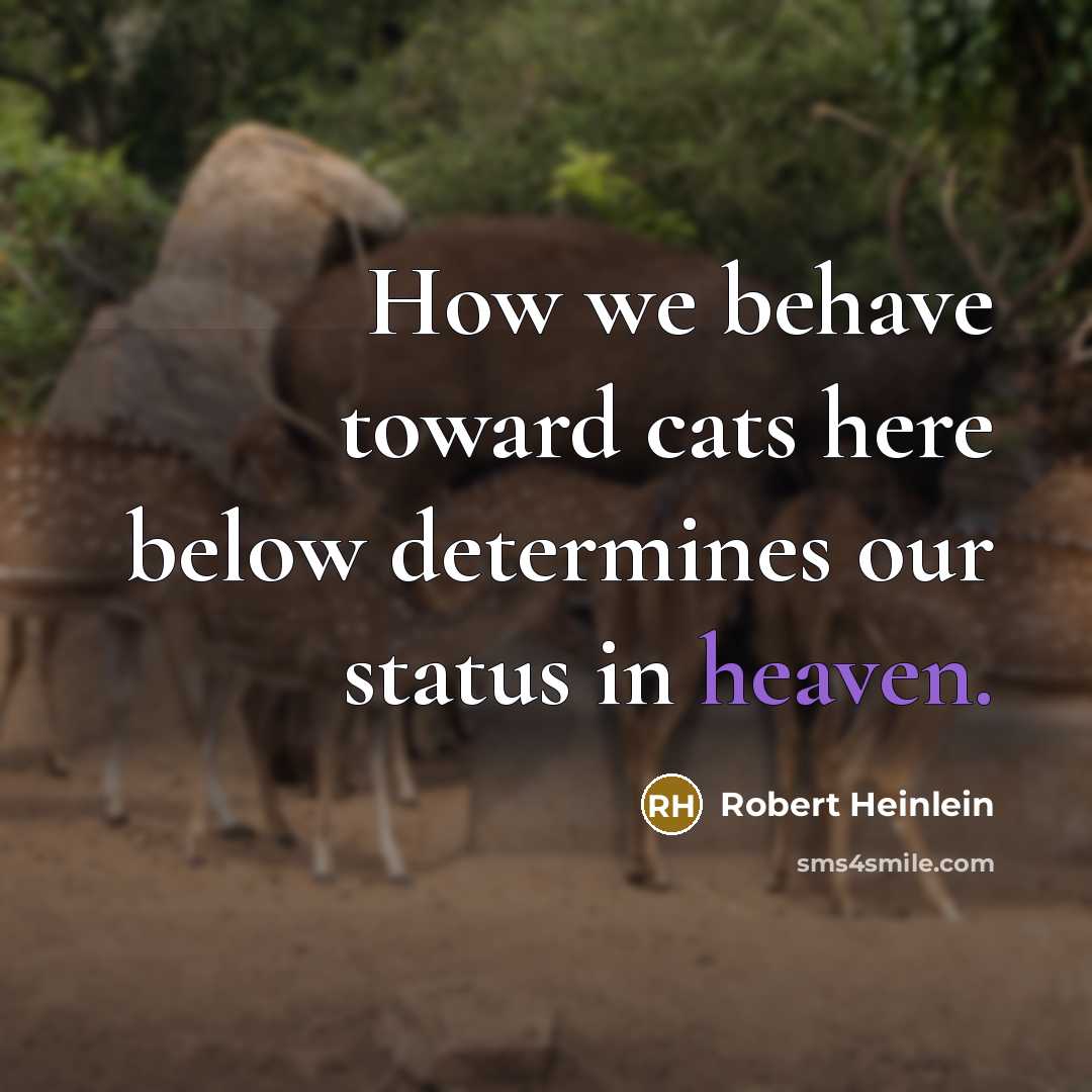 “How we behave toward cats here below determines our status in heaven.” quote by Robert Heinlein