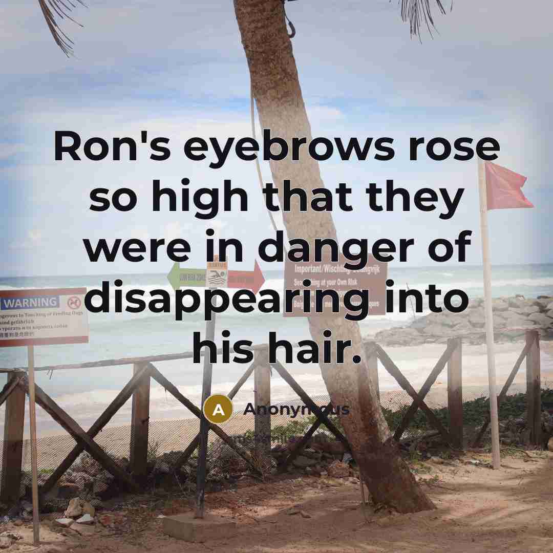 “Ron's eyebrows rose so high that they were in danger of disappearing into his hair.” quote by Anonymous