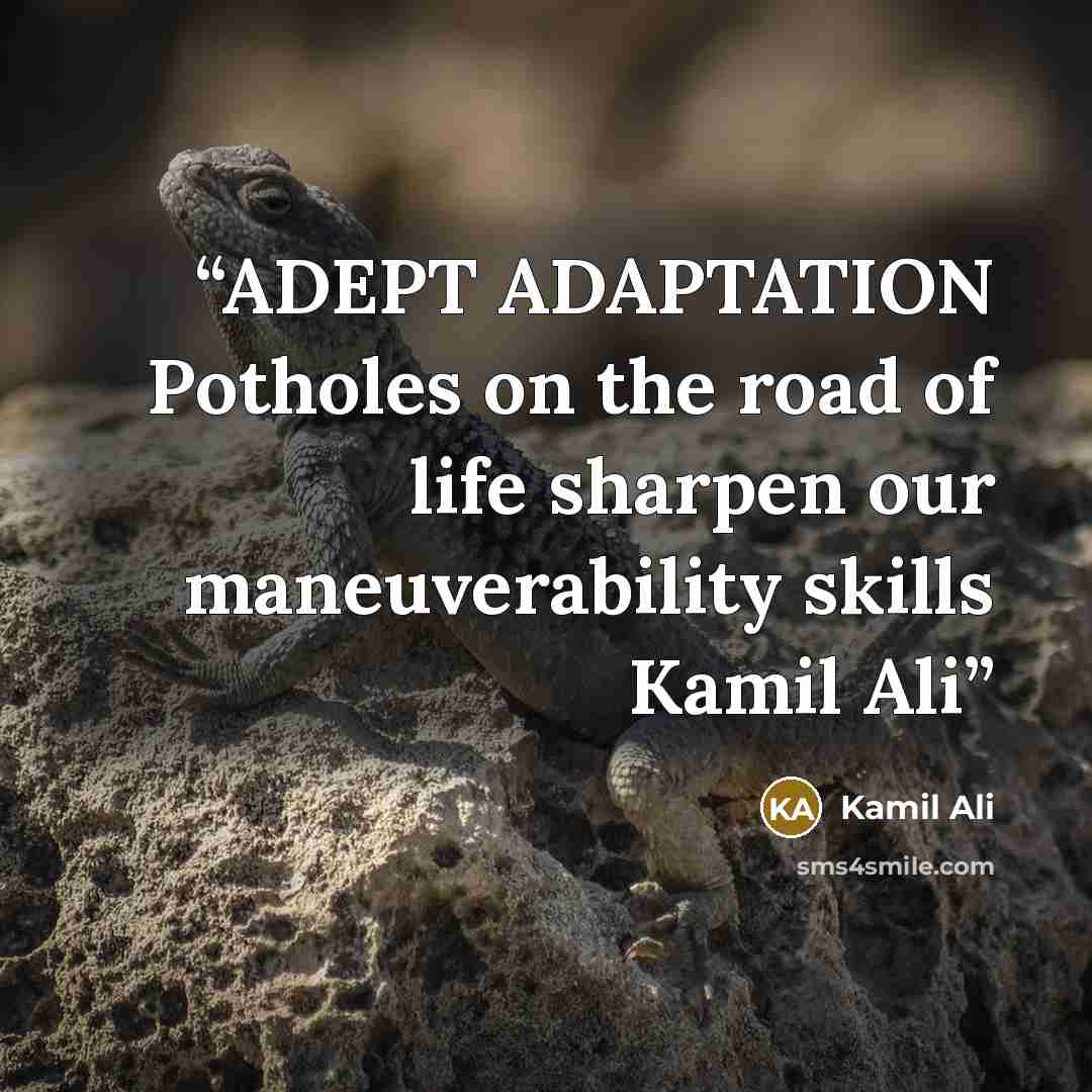 “ADEPT ADAPTATION Potholes on the road of life sharpen our maneuverability skills Kamil Ali” quote by Kamil Ali