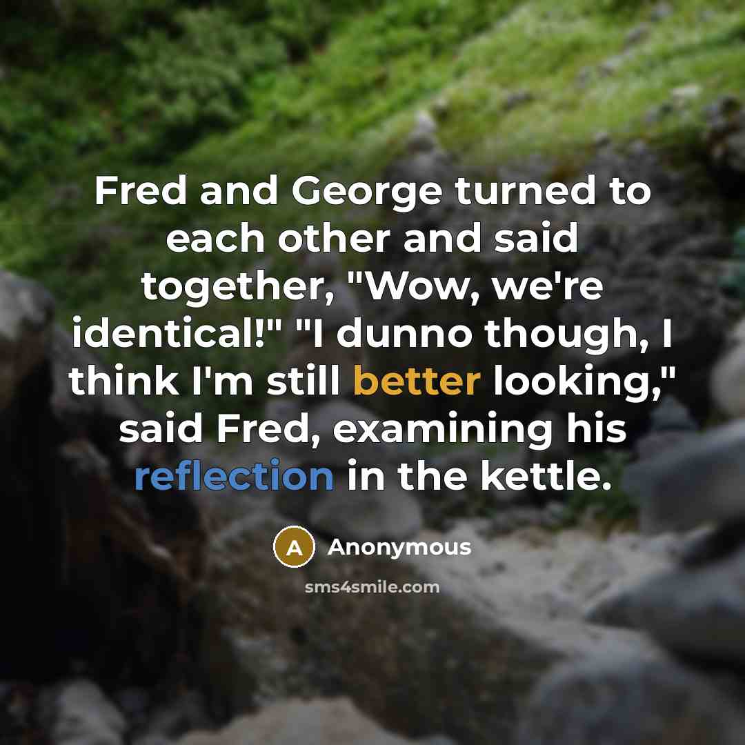 “Fred and George turned to each other and said together, "Wow, we're identical!" "I dunno though, I think I'm still better looking," said Fred, examining his reflection in the kettle.” quote by Anonymous