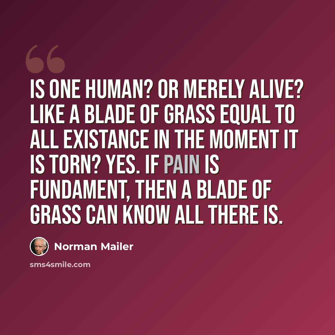 “Is one human? Or merely alive? Like a blade of grass equal to all existance in the moment it is torn? Yes. If pain is fundament, then a blade of grass can know all there is.” quote by Norman Mailer