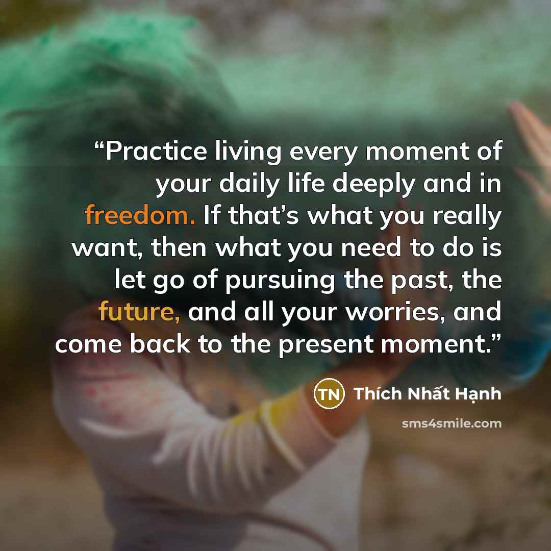 “Practice living every moment of your daily life deeply and in freedom. If that’s what you really want, then what you need to do is let go of pursuing the past, the future, and all your worries, and come back to the present moment.” quote by Thích Nhất Hạnh