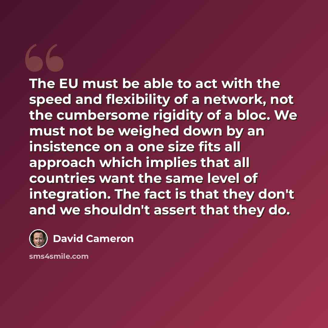 “The EU must be able to act with the speed and flexibility of a network, not the cumbersome rigidity of a bloc. We must not be weighed down by an insistence on a one size fits all approach which implies that all countries want the same level of integration. The fact is that they don't and we…” quote by David Cameron