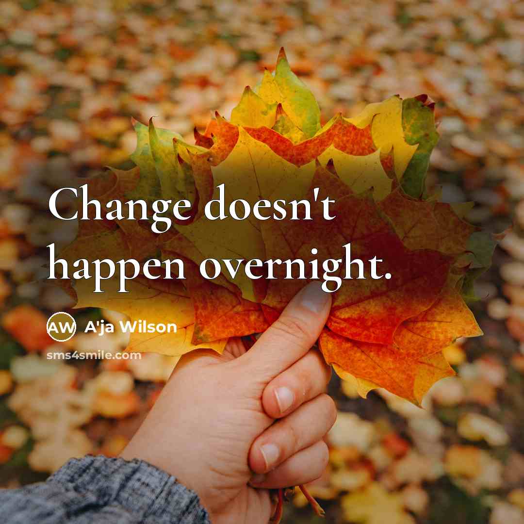 “Change doesn't happen overnight.” quote by A'ja Wilson