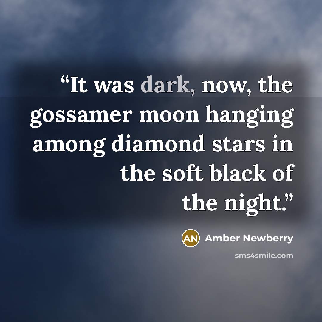 “It was dark, now, the gossamer moon hanging among diamond stars in the soft black of the night.” quote by Amber Newberry