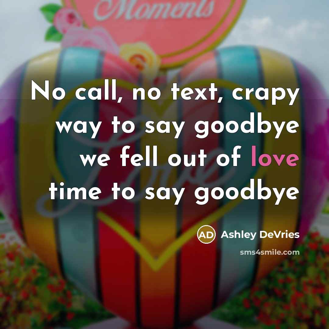 “No call, no text, crapy way to say goodbye we fell out of love time to say goodbye” quote by Ashley DeVries