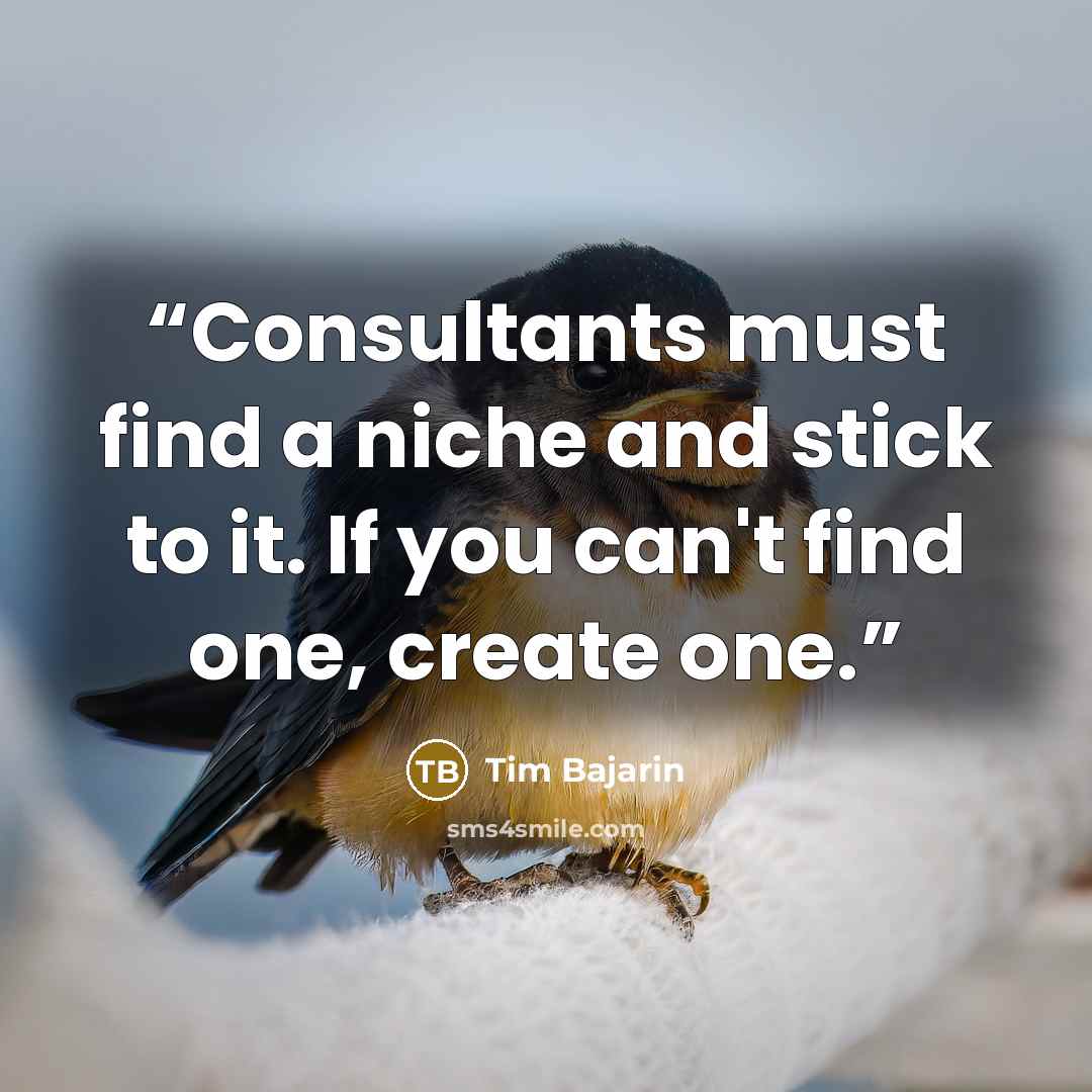 “Consultants must find a niche and stick to it. If you can't find one, create one.” quote by Tim Bajarin