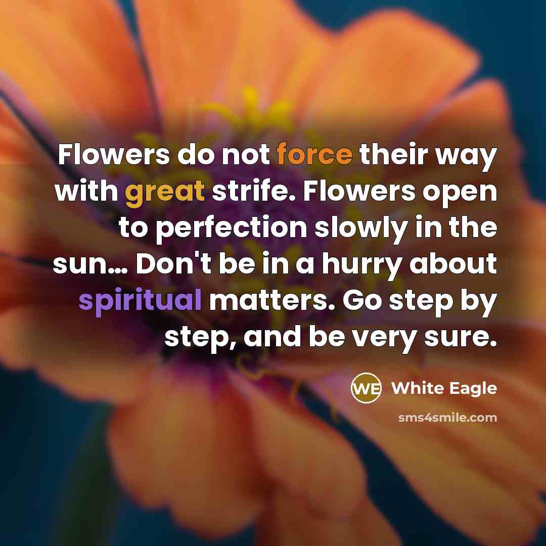 “Flowers do not force their way with great strife. Flowers open to perfection slowly in the sun… Don't be in a hurry about spiritual matters. Go step by step, and be very sure.” quote by White Eagle