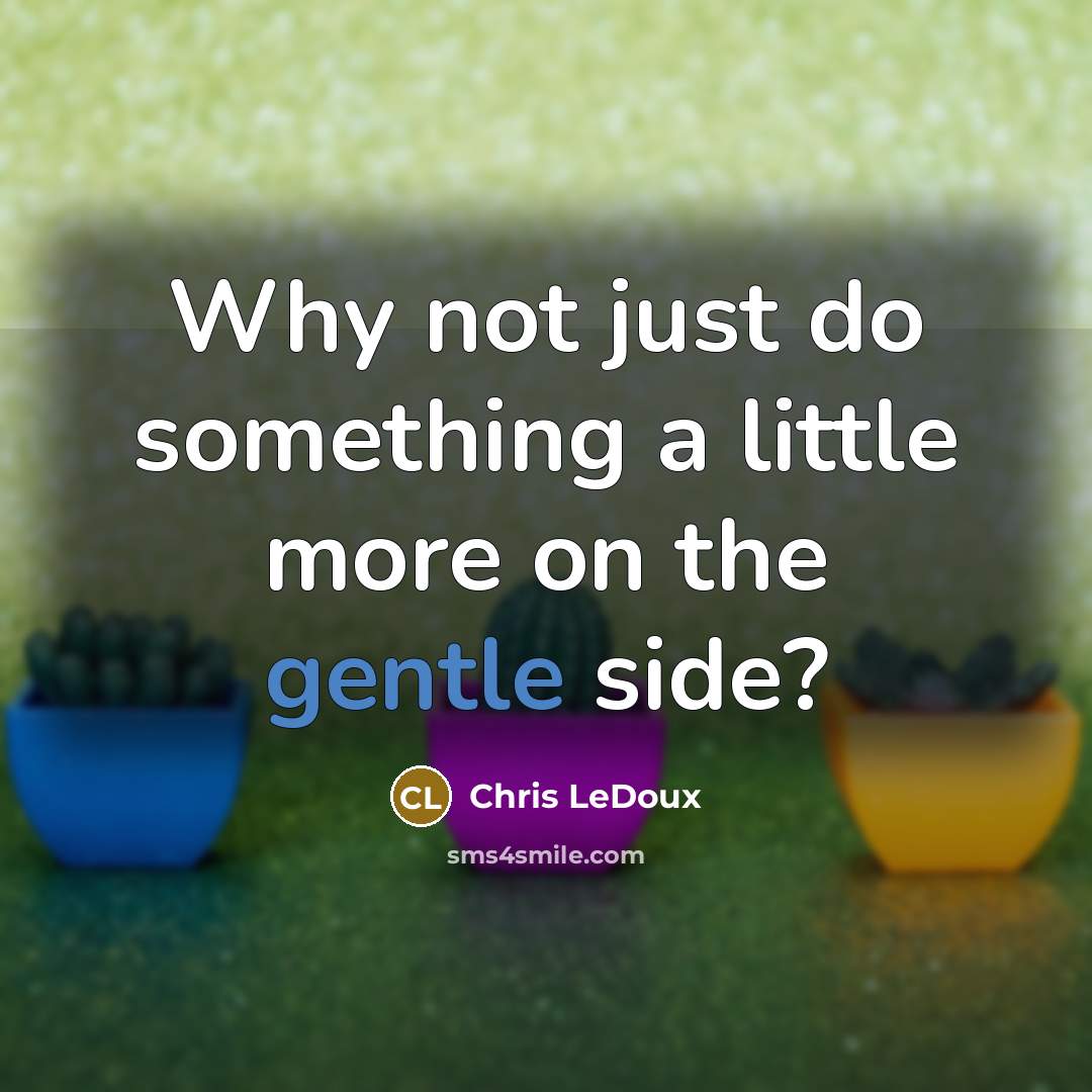 “Why not just do something a little more on the gentle side?” quote by Chris LeDoux