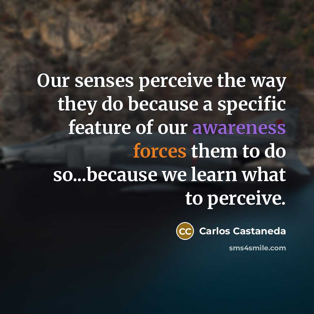 “Our senses perceive the way they do because a specific feature of our awareness forces them to do so...because we learn what to perceive.” quote by Carlos Castaneda