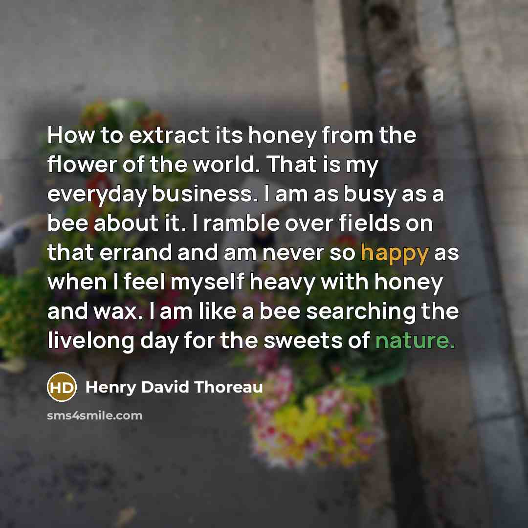 “How to extract its honey from the flower of the world. That is my everyday business. I am as busy as a bee about it. I ramble over fields on that errand and am never so happy as when I feel myself heavy with honey and wax. I am like a bee searching the livelong day for the sweets of nature.” quote by Henry David Thoreau