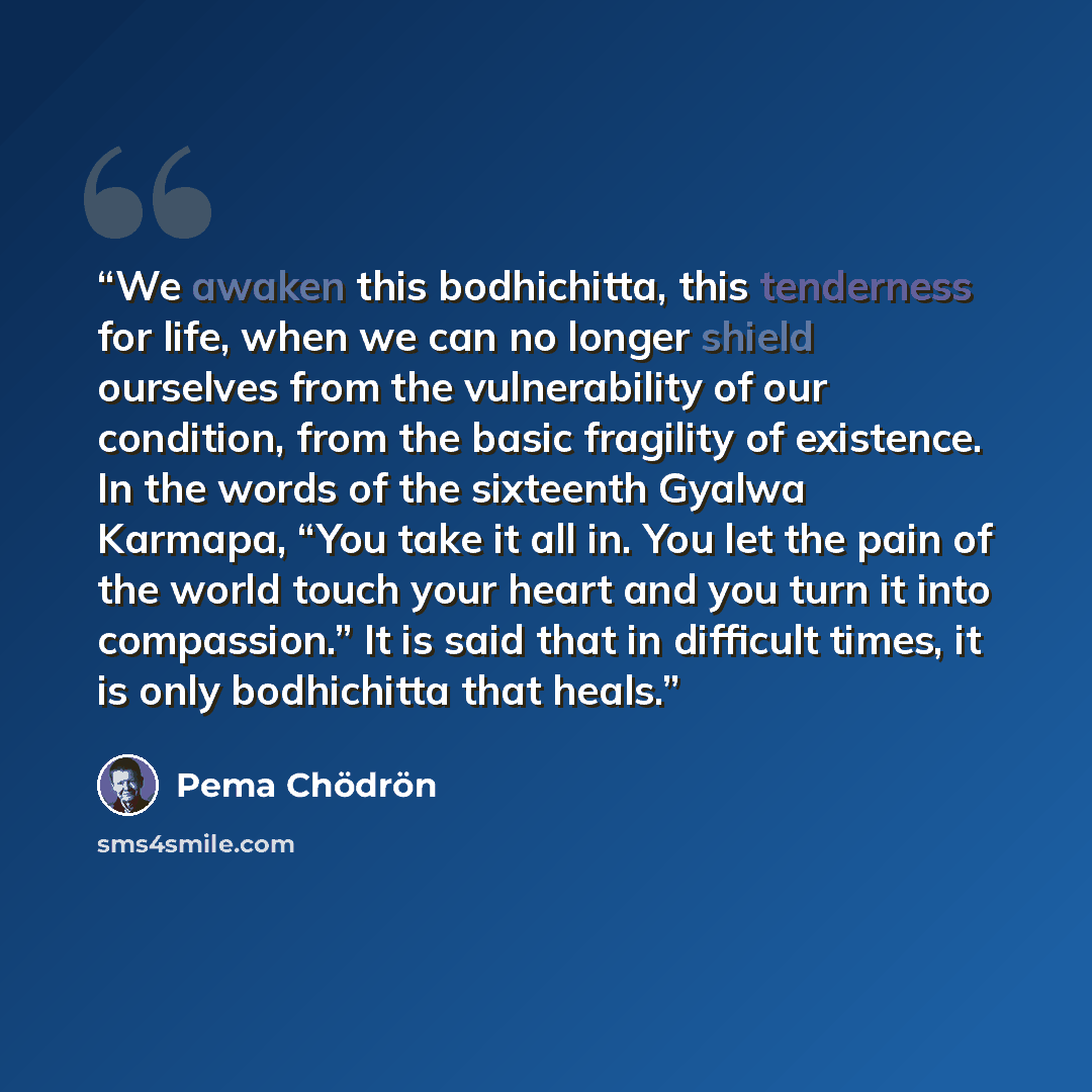 “We awaken this bodhichitta, this tenderness for life, when we can no longer shield ourselves from the vulnerability of our condition, from the basic fragility of existence. In the words of the sixteenth Gyalwa Karmapa, “You take it all in. You let the pain of the world touch your heart and you…” quote by Pema Chödrön