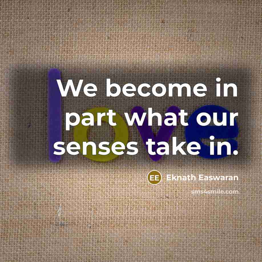 “We become in part what our senses take in.” quote by Eknath Easwaran