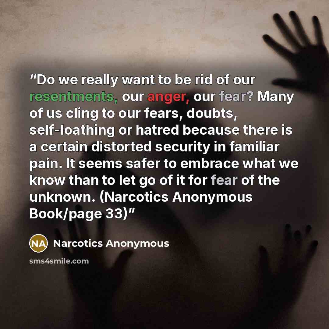 “Do we really want to be rid of our resentments, our anger, our fear? Many of us cling to our fears, doubts, self-loathing or hatred because there is a certain distorted security in familiar pain. It seems safer to embrace what we know than to let go of it for fear of the unknown. (Narcotics…” quote by Narcotics Anonymous