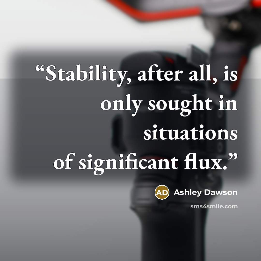 “Stability, after all, is only sought in situations of significant flux.” quote by Ashley Dawson