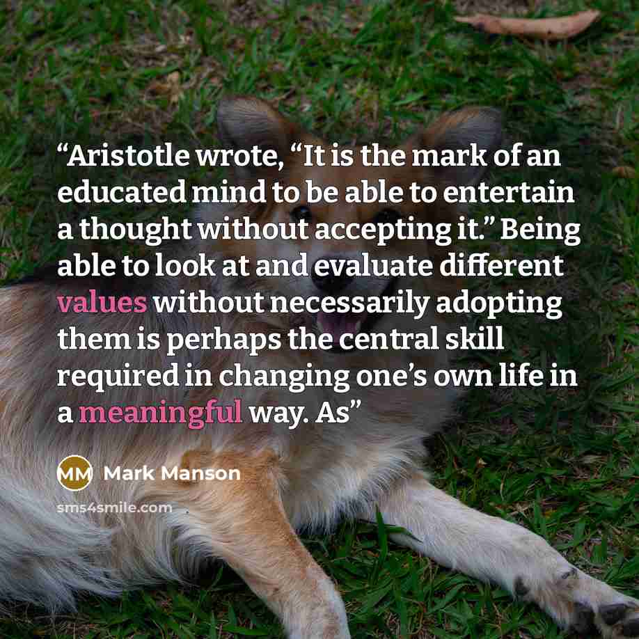 “Aristotle wrote, “It is the mark of an educated mind to be able to entertain a thought without accepting it.” Being able to look at and evaluate different values without necessarily adopting them is perhaps the central skill required in changing one’s own life in a meaningful way. As” quote by Mark Manson