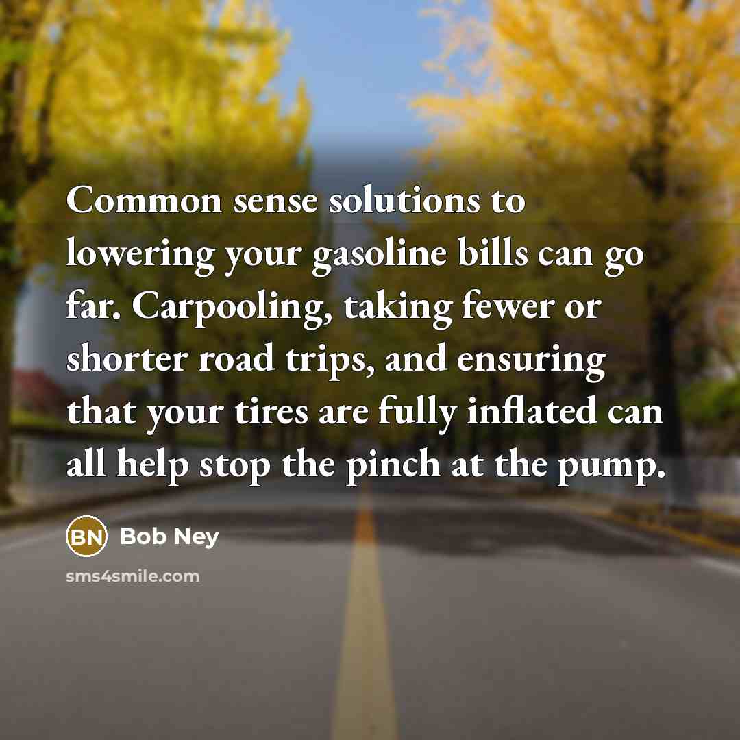 “Common sense solutions to lowering your gasoline bills can go far. Carpooling, taking fewer or shorter road trips, and ensuring that your tires are fully inflated can all help stop the pinch at the pump.” quote by Bob Ney