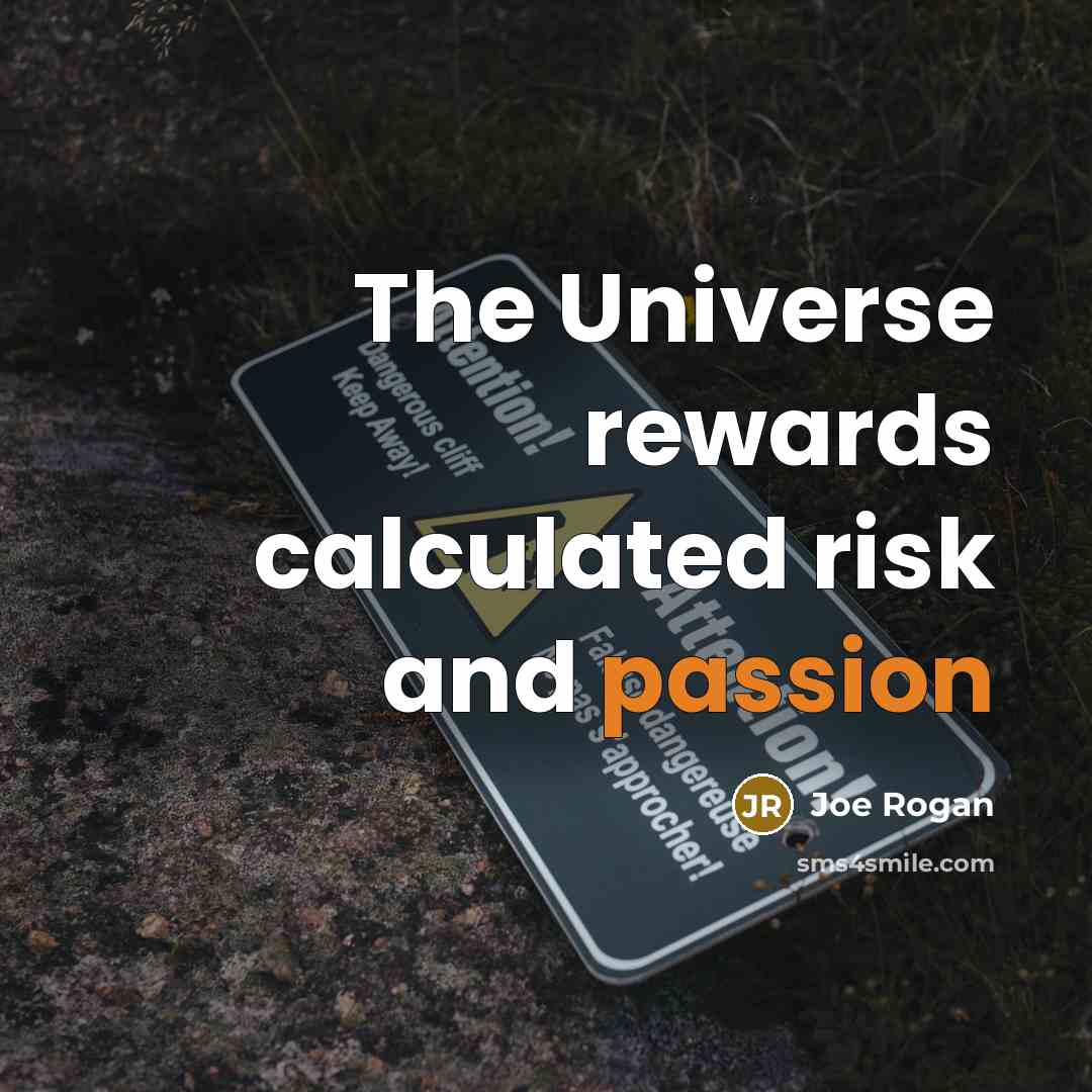 “The Universe rewards calculated risk and passion” quote by Joe Rogan