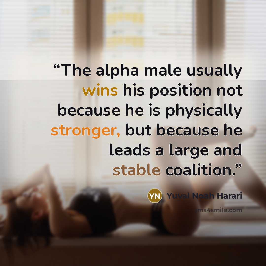 “The alpha male usually wins his position not because he is physically stronger, but because he leads a large and stable coalition.” quote by Yuval Noah Harari