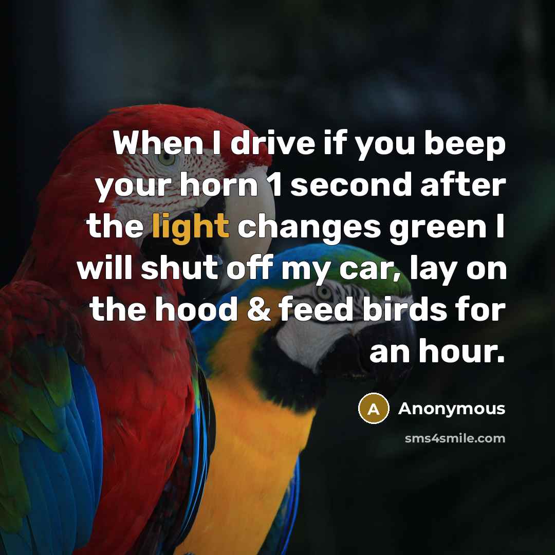 “When I drive if you beep your horn 1 second after the light changes green I will shut off my car, lay on the hood & feed birds for an hour.” quote by Anonymous