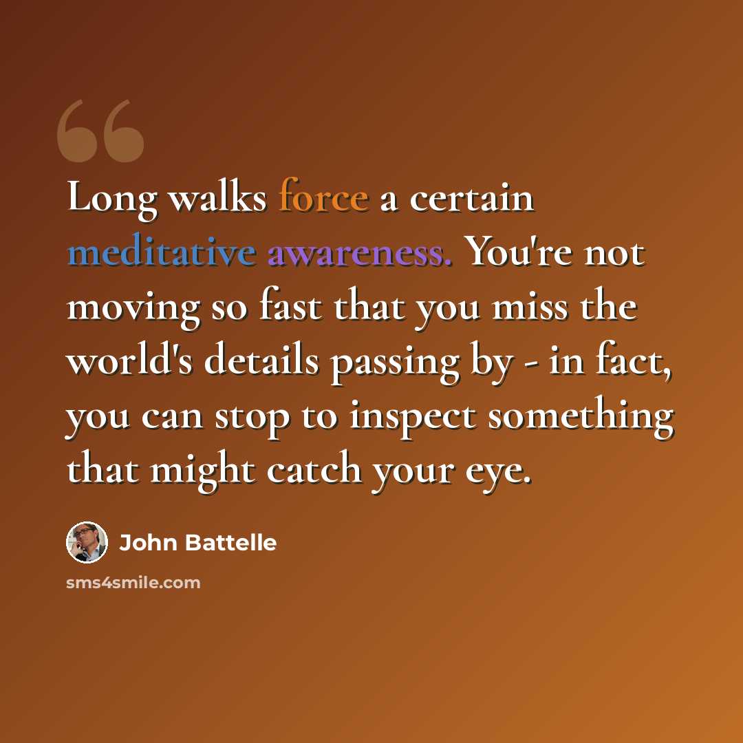 “Long walks force a certain meditative awareness. You're not moving so fast that you miss the world's details passing by - in fact, you can stop to inspect something that might catch your eye.” quote by John Battelle