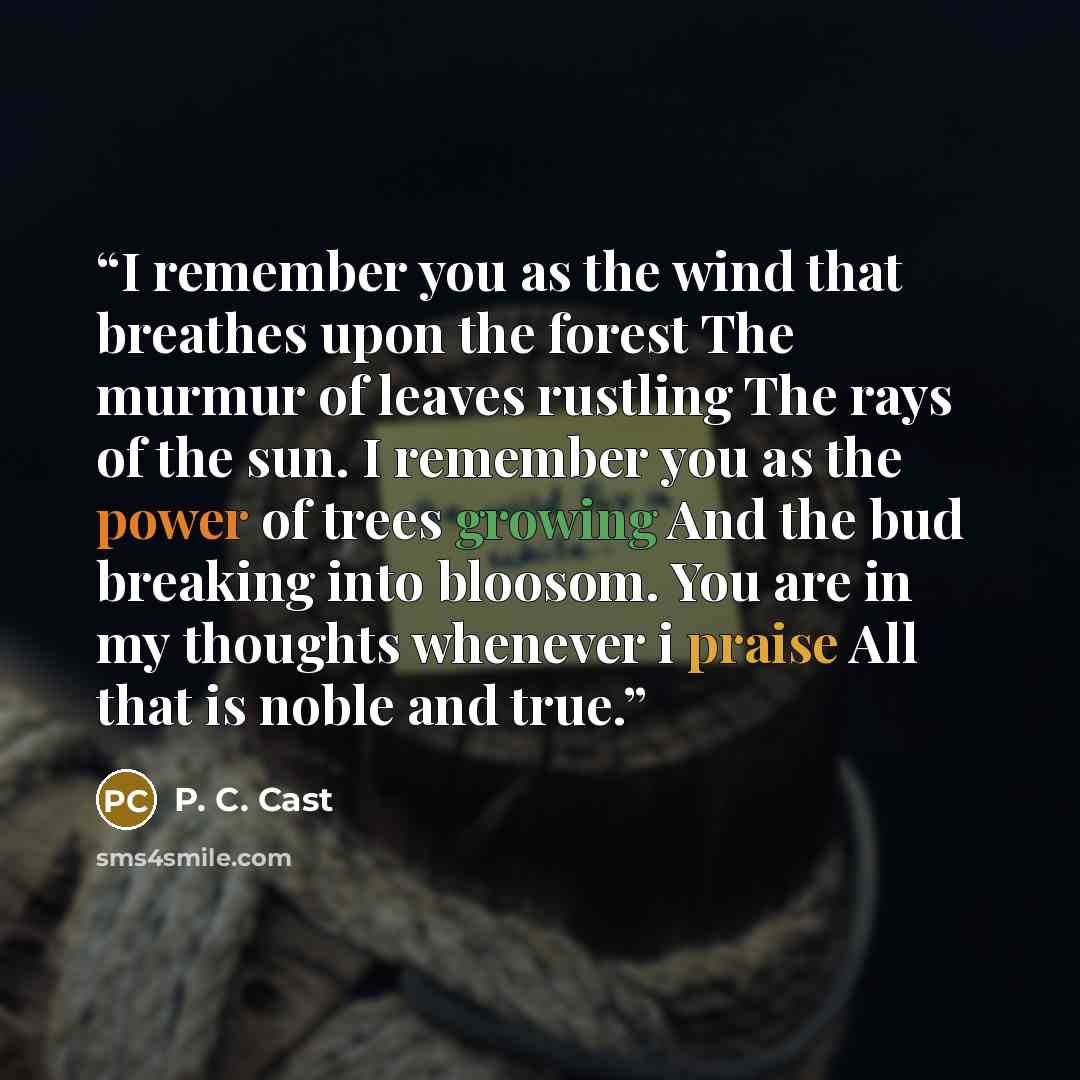 “I remember you as the wind that breathes upon the forest The murmur of leaves rustling The rays of the sun. I remember you as the power of trees growing And the bud breaking into bloosom. You are in my thoughts whenever i praise All that is noble and true.” quote by P. C. Cast