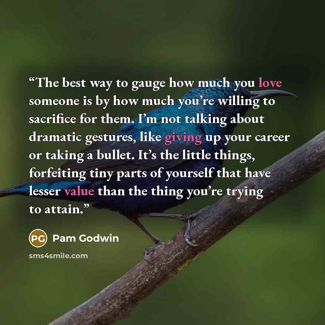 “The best way to gauge how much you love someone is by how much you’re willing to sacrifice for them. I’m not talking about dramatic gestures, like giving up your career or taking a bullet. It’s the little things, forfeiting tiny parts of yourself that have lesser value than the thing you’re trying…” quote by Pam Godwin
