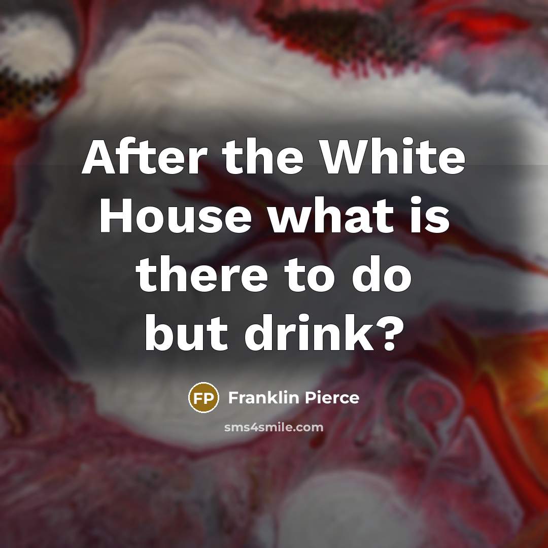 “After the White House what is there to do but drink?” quote by Franklin Pierce
